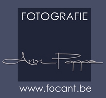 Focant