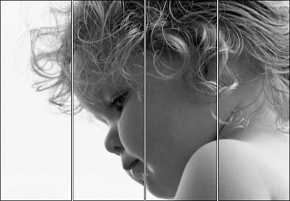 Wilma de Lange Fotografie